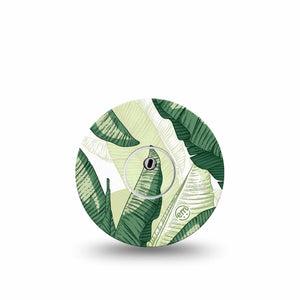 ExpressionMed Palm Leaf Freestyle Libre 3 and Libre 3 Plus Gumdrop, Single Tape and Single Sticker Plant print Accessories for Continuous Glucose Monitor