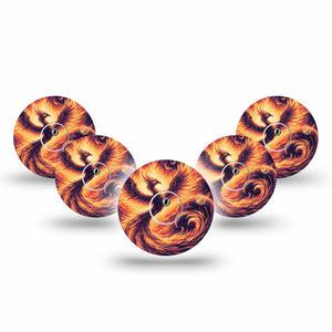 ExpressionMed Rising Phoenix Freestyle Libre 3 and Libre 3 Plus Tape, 5-Pack Tape and 5-Pack Sticker Phoenix Symbolism, Adhesive Tape Continuous Glucose Monitor Design