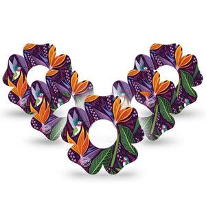 ExpressionMed Hummingbird Infusion Set Flower Shape Tape 10-Pack Tape Hummingbird Illustration Plaster Continuous Glucose Monitor Design