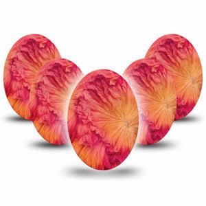 ExpressionMed Ruffles Medtronic Guardian Enlite Universal Oval, 5-Pack Sunset color floral Fixing Ring Tape for Continuous Glucose Monitor