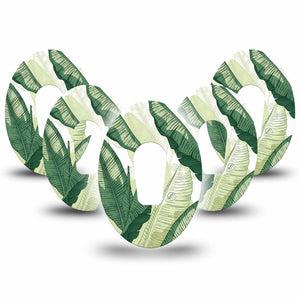 ExpressionMed Palm Leaf Dexcom G6 Gumdrop, 5-Pack Shades of green  Best Covers for CGM
