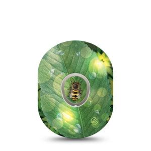 ExpressionMed Dewey Leaf Bee Dexcom G7 Sticker Bee and Sunlight Spots, CGM Sticker and Tape Design