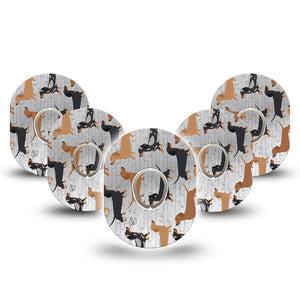 ExpressionMed Dancing Dachshunds Dexcom G7 and Stelo Tape 5-Pack Tape and 5-Pack Sticker Playful Dogs Themed, Plaster Continuous Glucose Monitor Design