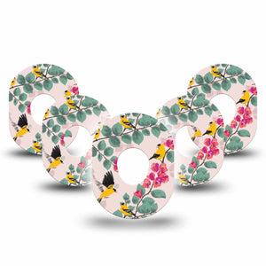 ExpressionMed Yellow Finch Dexcom G7 Tape, 5-Pack, Birds And Florals Themed, CGM Plaster Patch Design, Dexcom Stelo Glucose Biosensor System