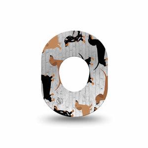 ExpressionMed Dancing Dachshunds Dexcom G7 Mini Tape Playful Dogs, CGM Fixing Ring Patch Design, Dexcom Stelo Glucose Biosensor System