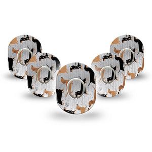 ExpressionMed Dancing Dachshunds Dexcom G7 Mini Tape 5-Pack Sticker and Tape Long Small Dogs, CGM Plaster Patch Design, Dexcom Stelo Glucose Biosensor System