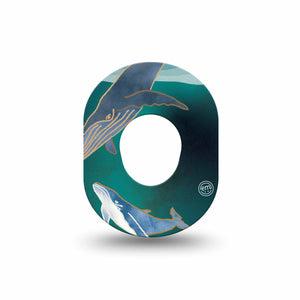 ExpressionMed Whales Dexcom G7 Mini Tape, Dexcom Stelo Glucose Biosensor System, Single Tape, Sea Animals, Overlay Design, Dexcom Stelo Glucose Biosensor System