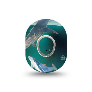 ExpressionMed Whales Dexcom G7 Mini Tape, Dexcom Stelo Glucose Biosensor System, Single Tape and Single Sticker, Sea Animals, Patch Continuous Glucose Monitor Design