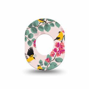 ExpressionMed Yellow Finch Dexcom G7 Mini Tape, Dexcom Stelo Glucose Biosensor System, Single Tape, Yellow Birds, CGM Adhesive Patch Design, Dexcom Stelo Glucose Biosensor System