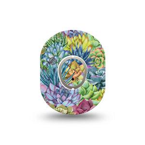 ExpressionMed Blue Succulents Dexcom G7 Mini Tape, Dexcom Stelo Glucose Biosensor System, Single Tape and Single Sticker, Dessert Succulents, Patch Continuous Glucose Monitor Design