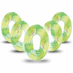Cockatiels Dexcom G6 Cover 5-Pack Tape
