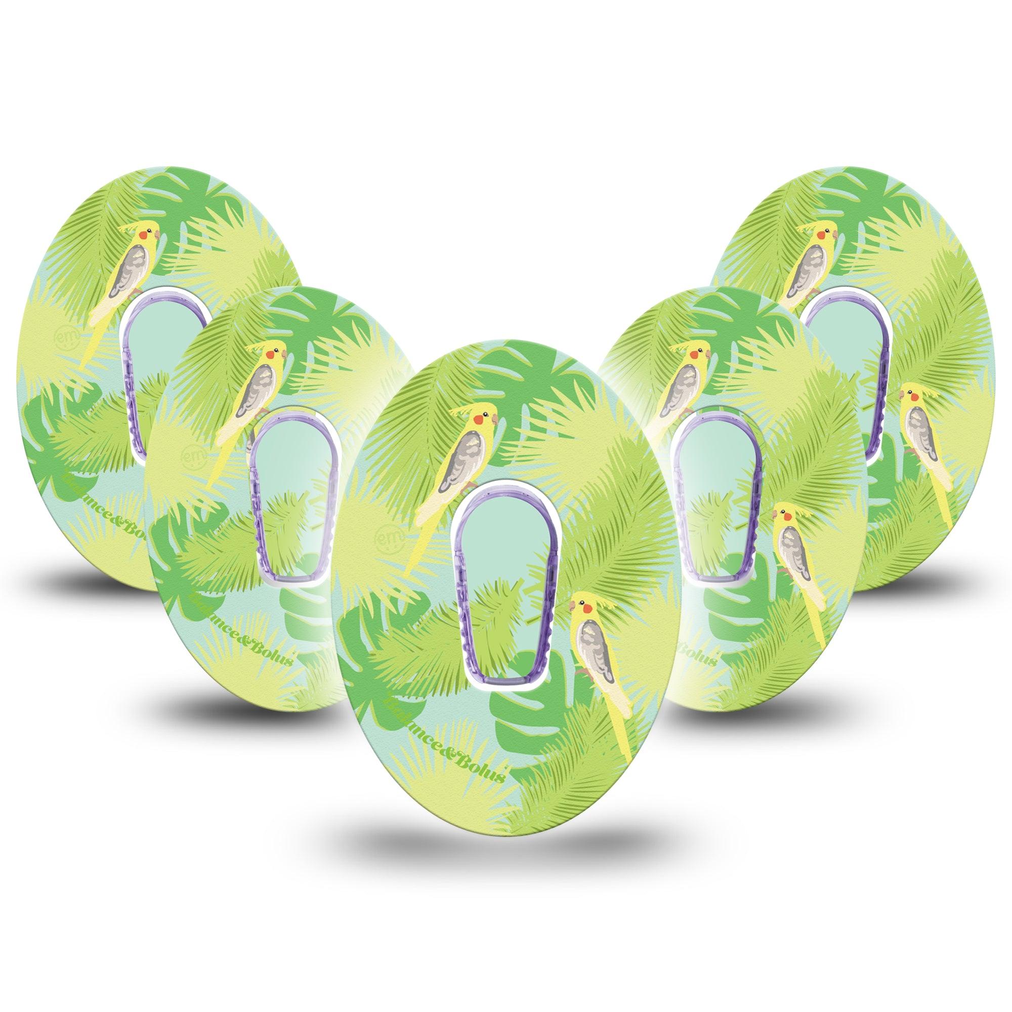 Cockatiels Dexcom G6 Cover 5-Pack Tape and Sticker