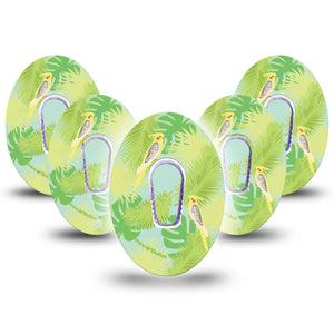 Cockatiels Dexcom G6 Cover 5-Pack Tape and Sticker