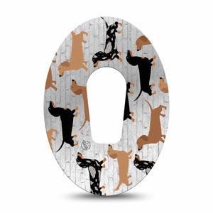 Daschunds Dexcom G6 Patch Single Tape