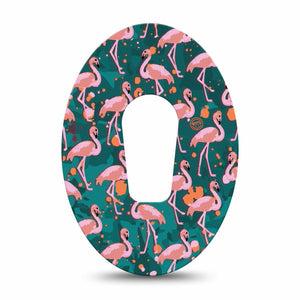 ExpressionMed Flamingos Dexcom G6 Patch