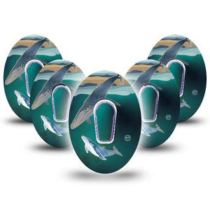 ExpressionMed Whales Dexcom G6 Cover 5-Pack with center stickers