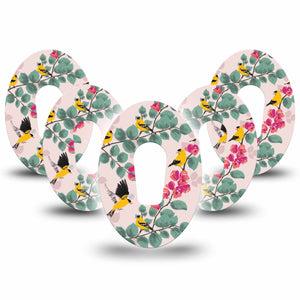 ExpressionMed Yellow Finch  Dexcom G6 Tape 5-Pack Tape Yellow Feathers, Plaster Continuous Glucose Monitor Design
