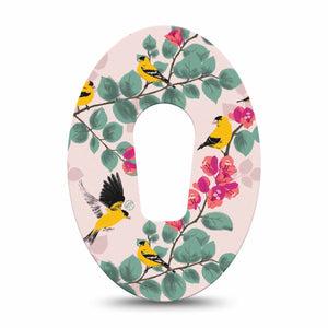 ExpressionMed Yellow Finch  Dexcom G6 Tape Single Tape Garden Visitor,  Plaster Continuous Glucose Monitor Design