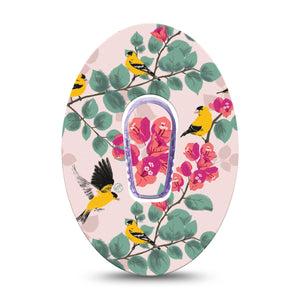 ExpressionMed Yellow Finch  Dexcom G6 Tape Single Tape and Single Sticker Bright Bird, Plaster Continuous Glucose Monitor Design