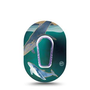 ExpressionMed Whales Dexcom G6 Mini Tape with center sticker