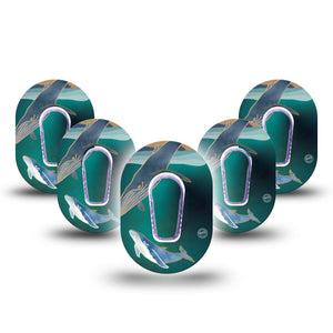 ExpressionMed Whales Dexcom G6 Mini Tape 5-Pack with center stickers