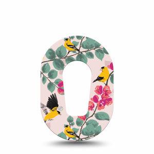 ExpressionMed Yellow Finch Dexcom G6 Mini Tape Single Tape Garden Visitor,  Adhesive Tape CGM Design