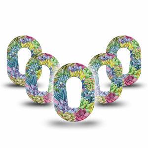 Blue Succulents Dexcom G6 Mini Tape, 5- Pack, Vibrant-colored Florals Inspired, CGM Fixing Ring Design