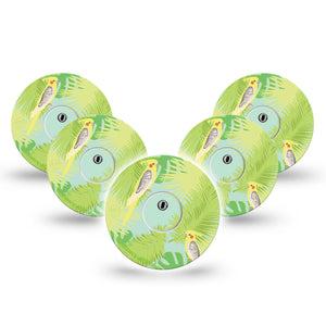 ExpressionMed Cockatiels Freestyle Libre 3 and Libre 3 Plus Tape, 5-Pack Tape and 5-Pack Sticker Bird Couple Themed, Adhesive Tape Continuous Glucose Monitor Design