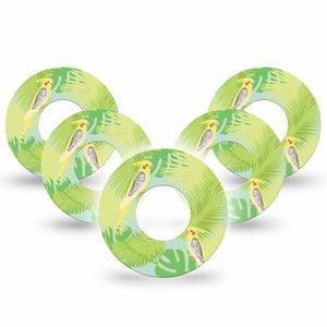 Cockatiels Libre Cover 5-Pack Tape, Abbott Lingo