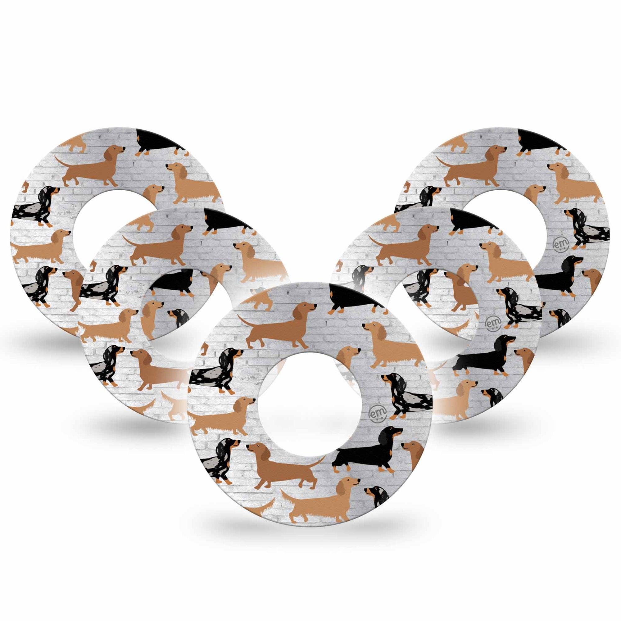 Daschunds Libre Patch 5-Pack, Abbott Lingo