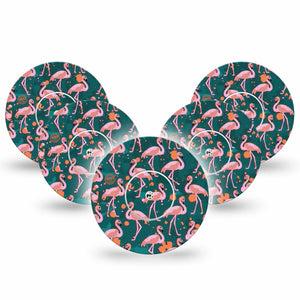 ExpressionMed Flamingos Libre Patch 5-Pack, Abbott Lingo with center stickers
