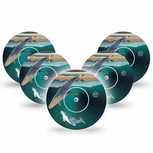 Whales Libre Cover, Abbott Lingo 5-Pack with center stickers