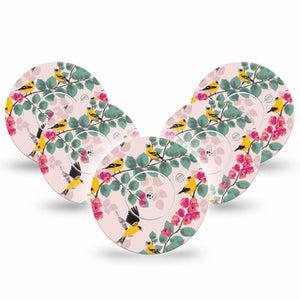 ExpressionMed Yellow Finch Freestyle Libre and Libre 2 Plus Tape, Abbott Lingo, 5-Pack Tape + 5-Pack Sticker Golden Plumage, Fixing Ring Tape Continuous Glucose Monitor Design