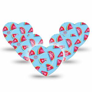 ExpressionMed Watermelon Slices Freestyle Libre 2 Heart Shape Tape, Abbott Lingo, 5-Pack Springtime Bouquet Adhesive Patch CGM Design with center stickers