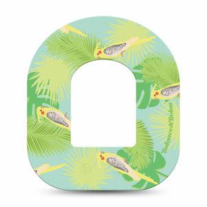 Cockatiels Custom Pod CGM Monitor Single Tape ExpressionMed