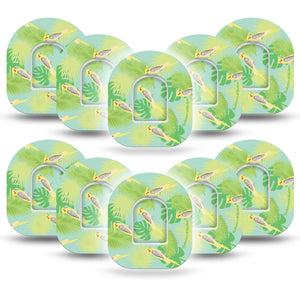 Cockatiels Custom Pod CGM Monitor Group Tapes 10-Pack Sticker and 10-Pack Tape ExpressionMed