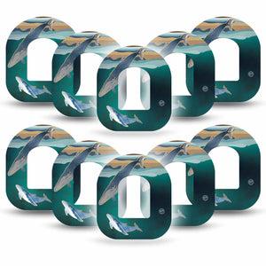 Whales Pod Cover 10-Pack