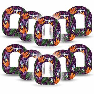 ExpressionMed Hummingbird Pod Tape 10-Pack