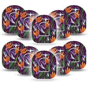 ExpressionMed Hummingbird Pod Tape 10-Pack with center stickers