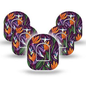ExpressionMed Hummingbird Pod Tape 5-Pack with center stickers