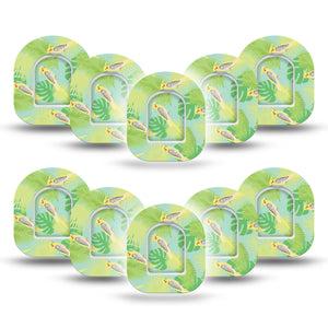 ExpressionMed Cockatiels Pod Mini Tape 10-Pack Sticker and 10-Pack Tape, Feathered Friends Adhesive Tape Pump Design