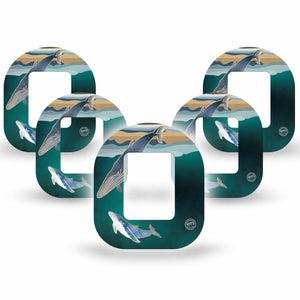 ExpressionMed Whales Tandem Mobi 5-Pack Teal green ocean creatures Pump Plaster Design