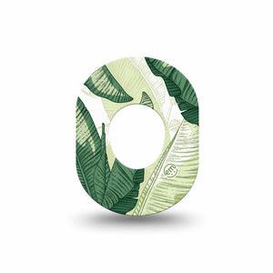 ExpressionMed Palm Leaf Dexcom G7 and Dexcom Stelo Glucose Biosensor System Mini, Single Tape Tropical palm leaves Waterproof Plaster for CGM