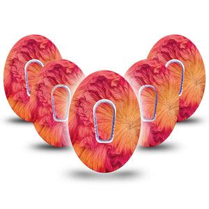 ExpressionMed Ruffles Dexcom G6 Gumdrop, 5-Pack Tape and 5-Pack Sticker Ruffle floral inspired Decorative Decal for CGM